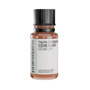 Huile essentielle Cèdre banc | Canadian cedar