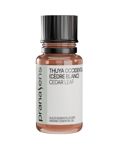 Huile essentielle Cèdre banc | Canadian cedar