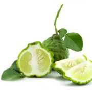 Huile essentielle Bergamote | Bergamot