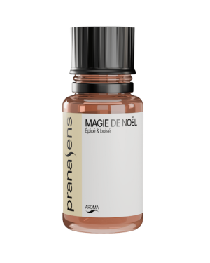 Magie de Noël | Disponible en saison seulement