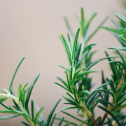 Eau florale de Romarin