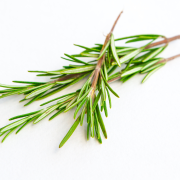 Huile essentielle Romarin officinal | Rosemary